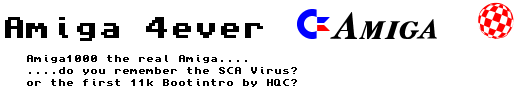 Amiga Forever Pro sample image
