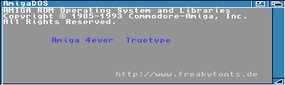 Amiga Forever Pro sample image