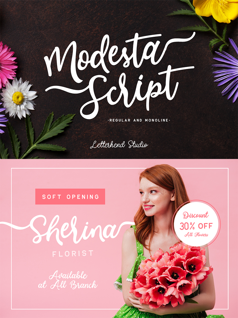 Modesta sample image