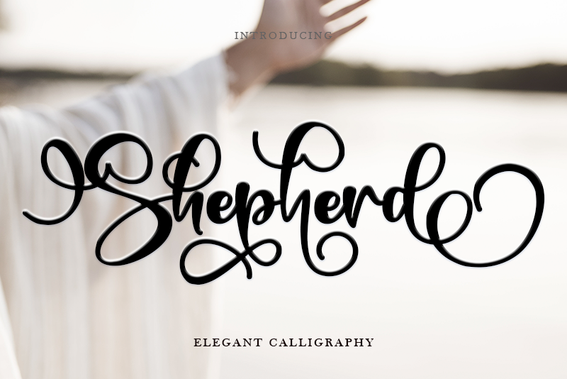 Shepherd sample image